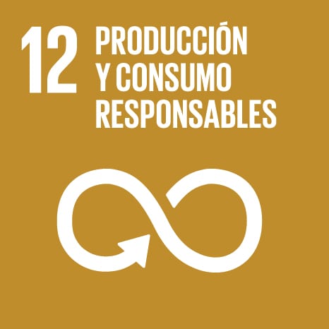 Objetivo Desarrollo Sostenible / ODS 12