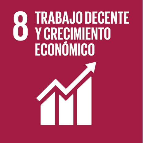 Objetivo Desarrollo Sostenible / ODS 8