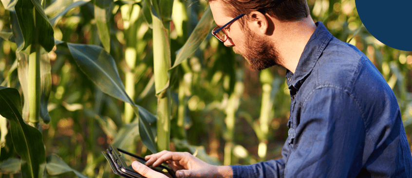 administracion de agronegocios