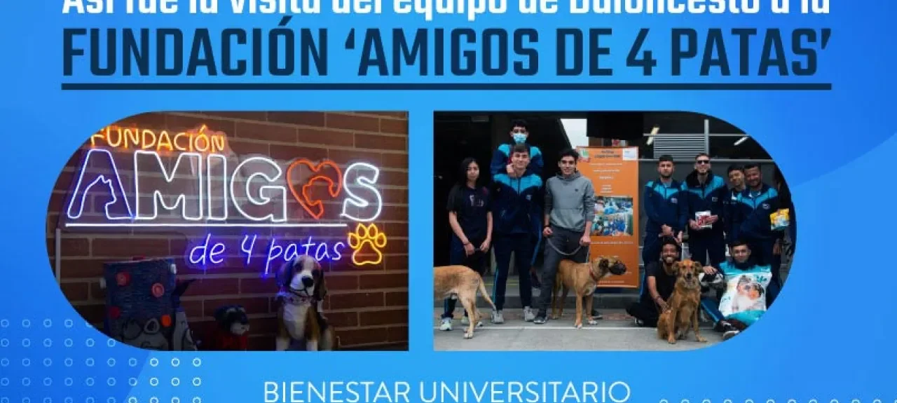 amigos-de-4-patas-bogota.jpg