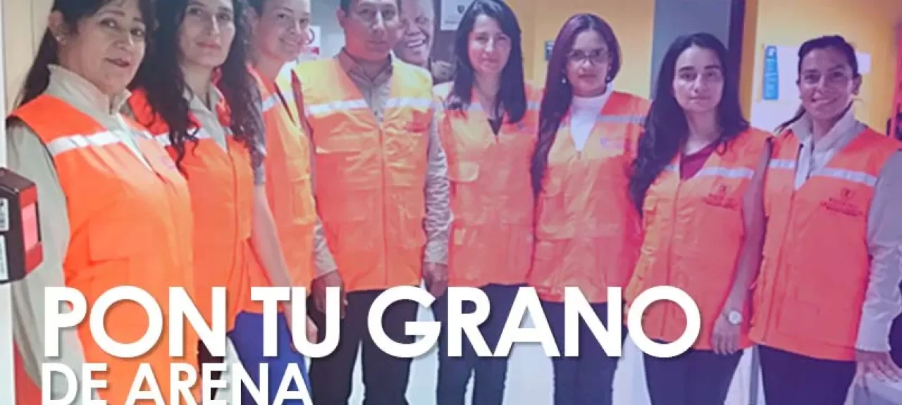 brigadistas.jpg