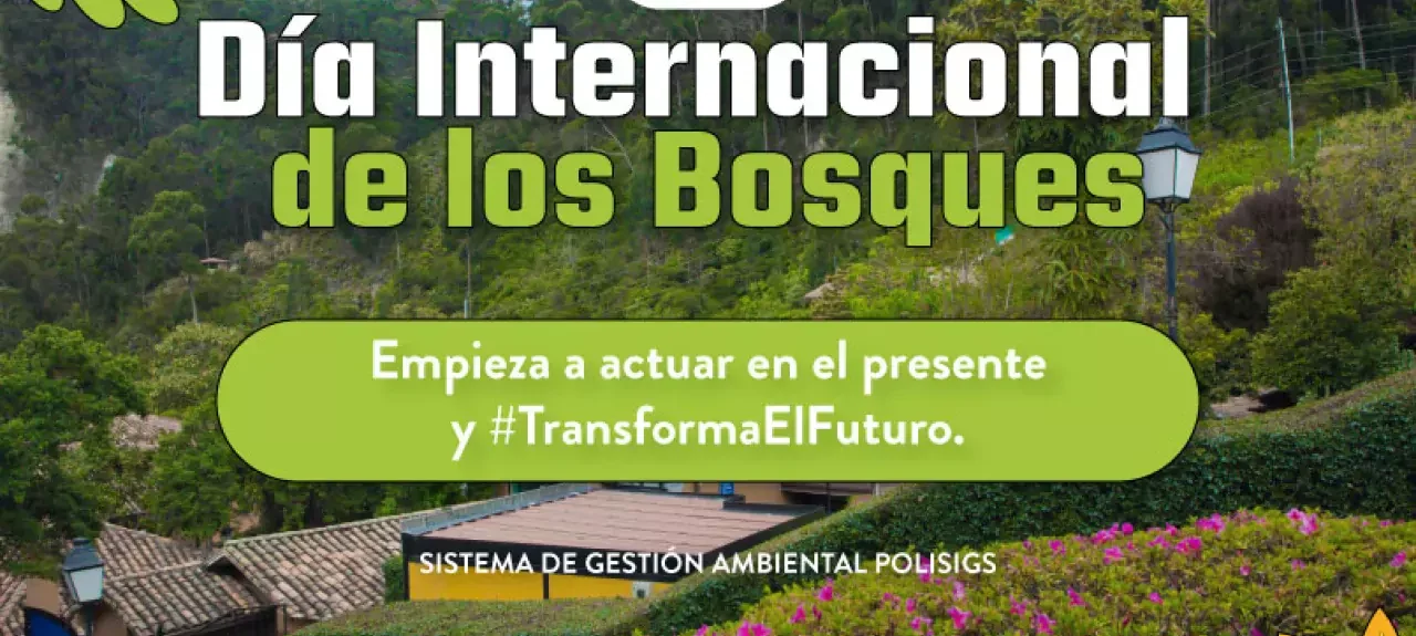 kv-dia-internacional-de-los-bosques-web-noticia-ajuste.jpg