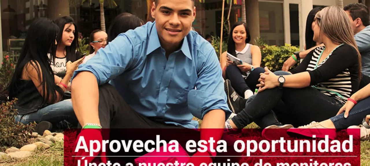 monitoriasmdeweb.jpg