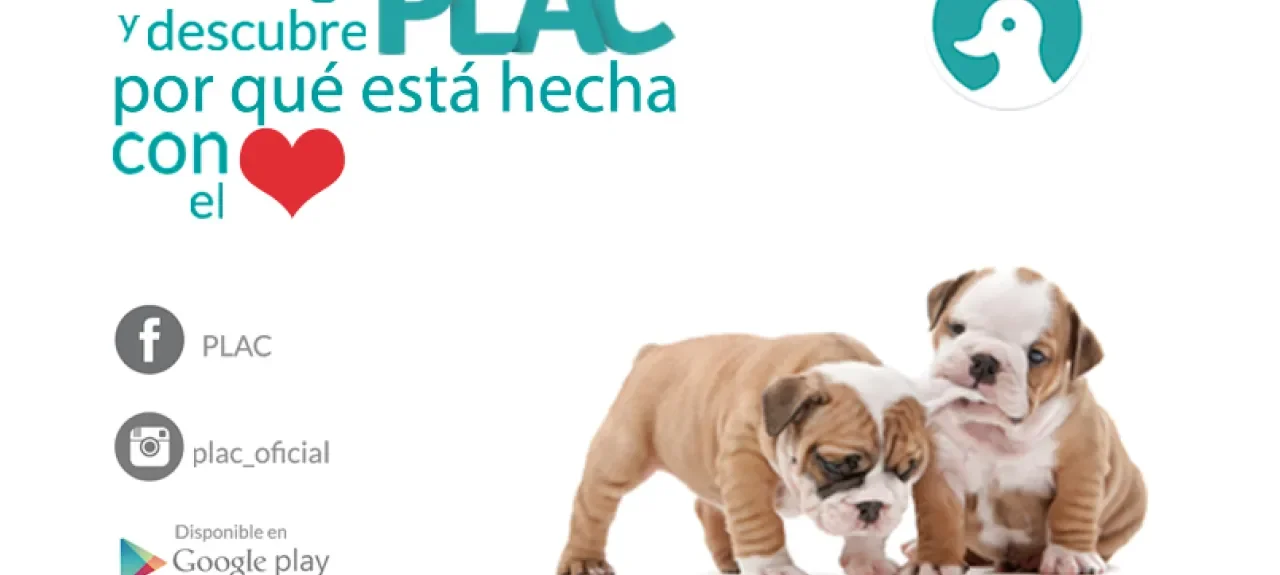 pieza-noticia.jpg