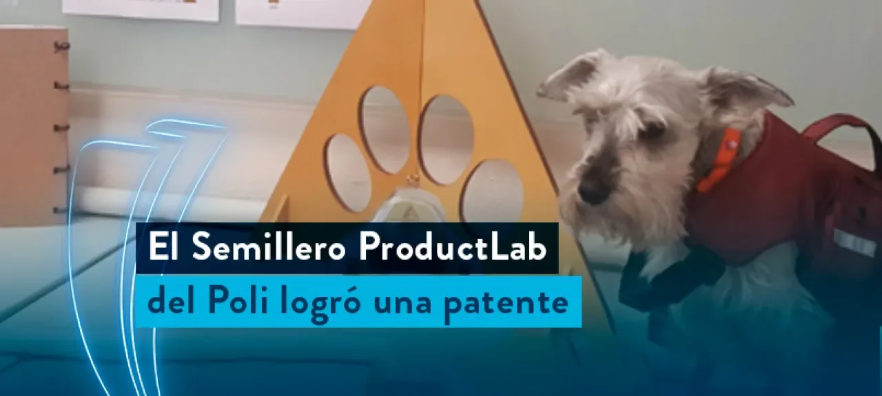 web-noticia-chaleco-dual-mascotas.jpg