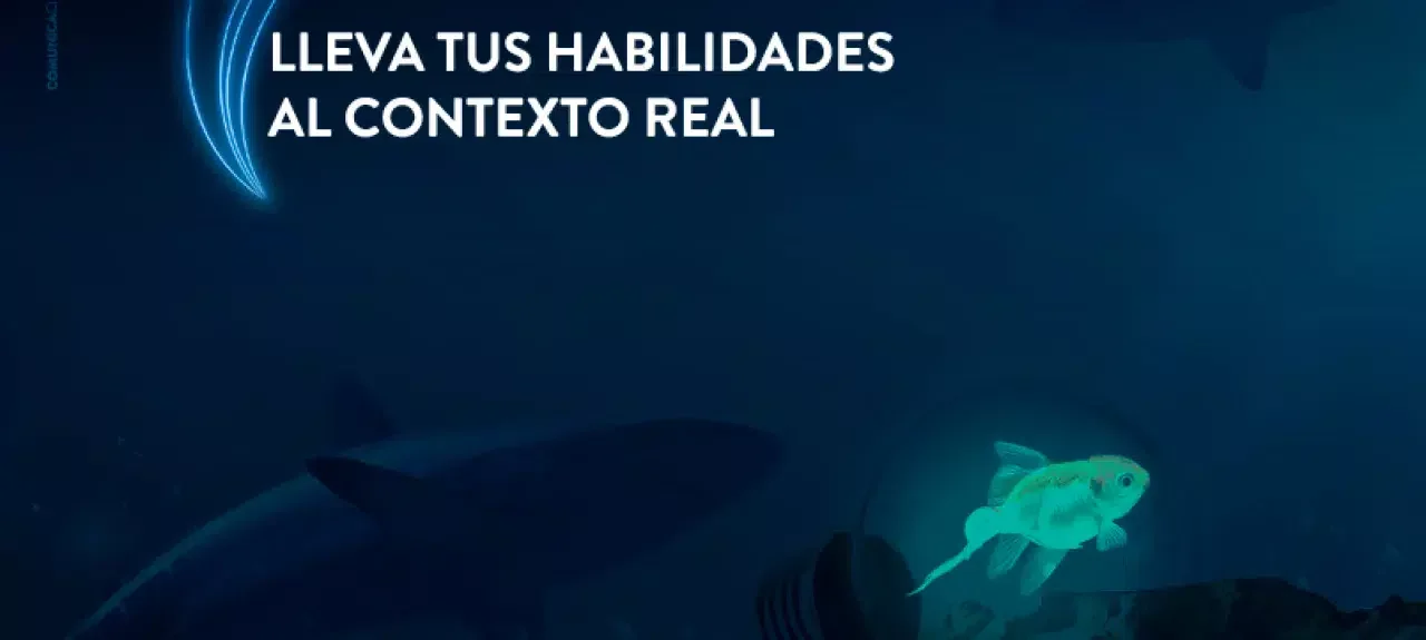 webnoticia-negociando-con-tiburones.jpg