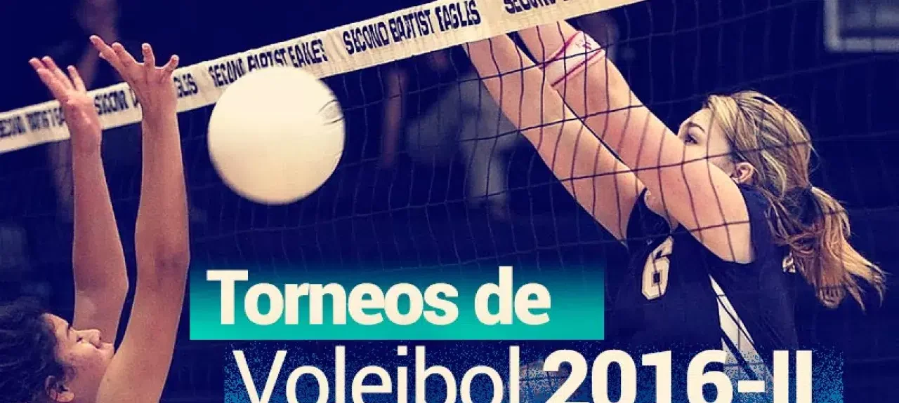 webvoleibol.jpg