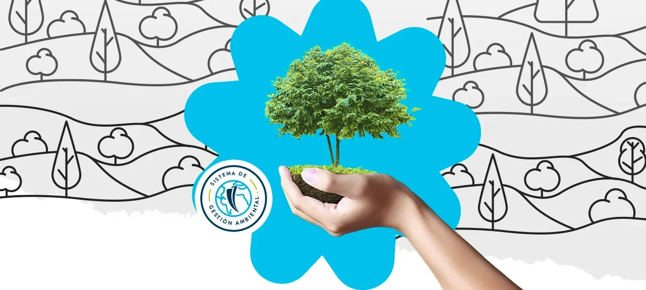Día Internacional De Los Bosques