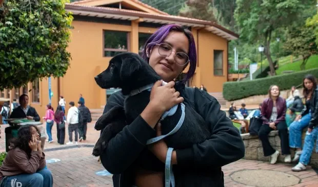 Bienestar Universitario Poli Cursos Virtuales Mascotas