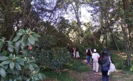Visita Humedal