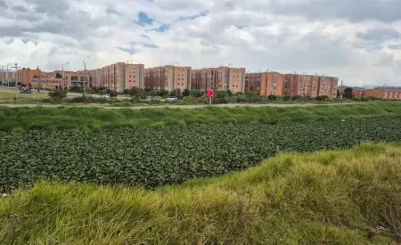jornada ambiental en el humedal Tibanica