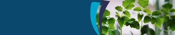 Consulta medica y enfermeria dentro del bienestar universitario del Politecnico